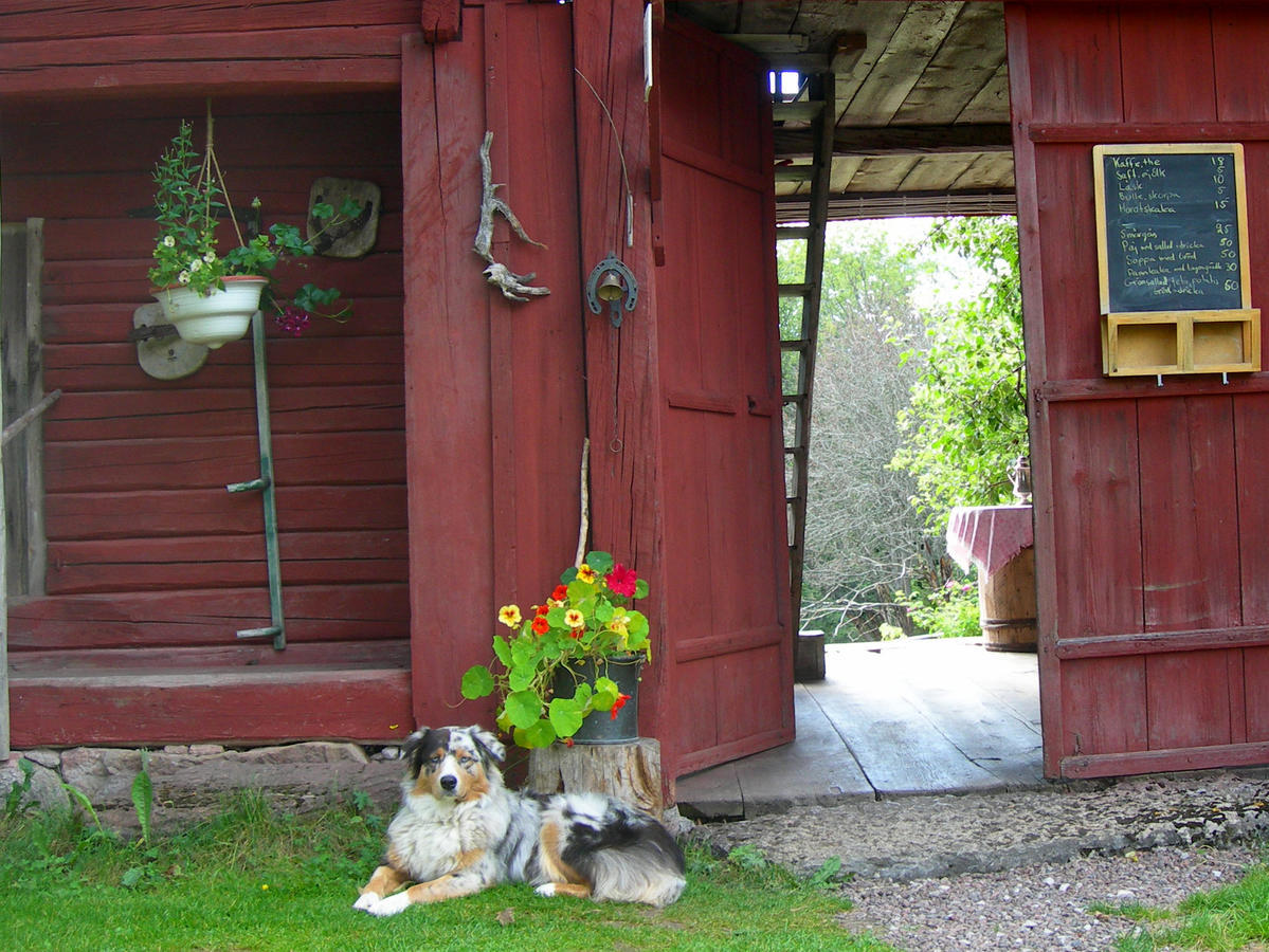 Wiborggarden Bed And Breakfast Boda  Exterior photo