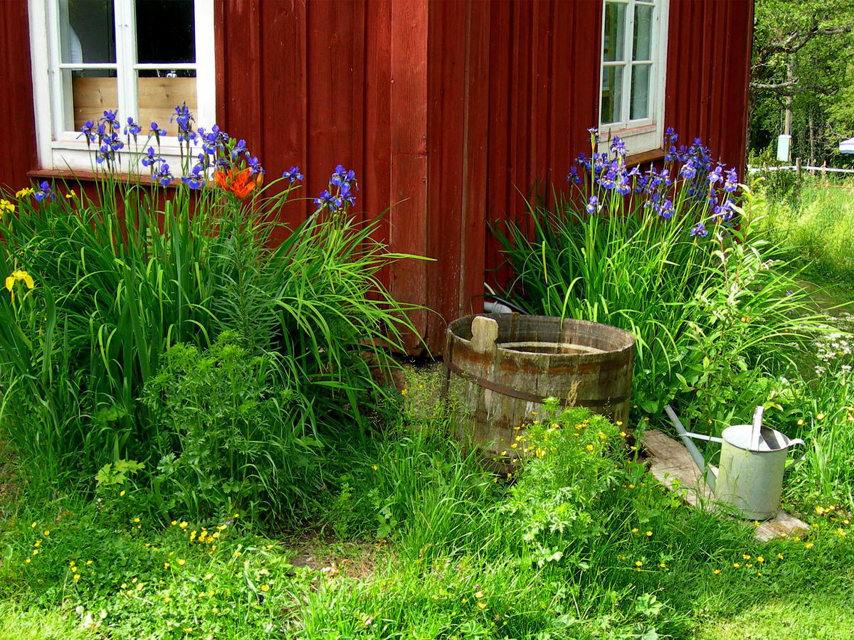 Wiborggarden Bed And Breakfast Boda  Exterior photo