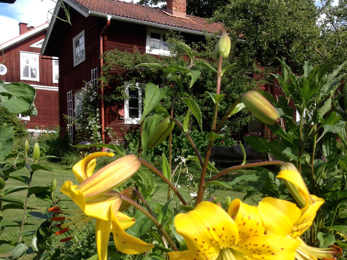 Wiborggarden Bed And Breakfast Boda  Exterior photo