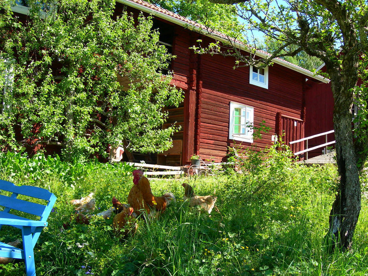 Wiborggarden Bed And Breakfast Boda  Exterior photo